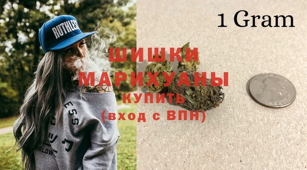 гидра Алексин
