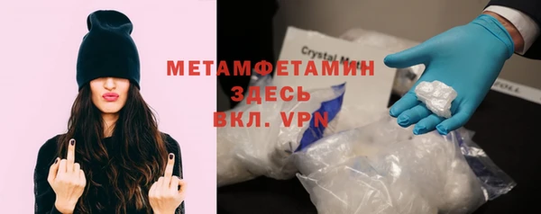 гидра Алексин