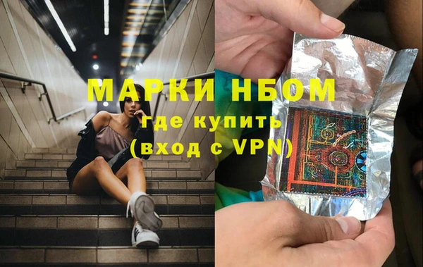 гидра Алексин