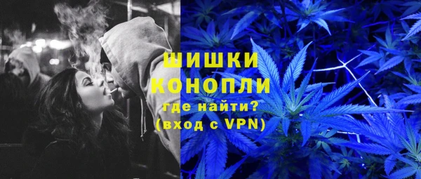 ГАЛЛЮЦИНОГЕННЫЕ ГРИБЫ Каменногорск